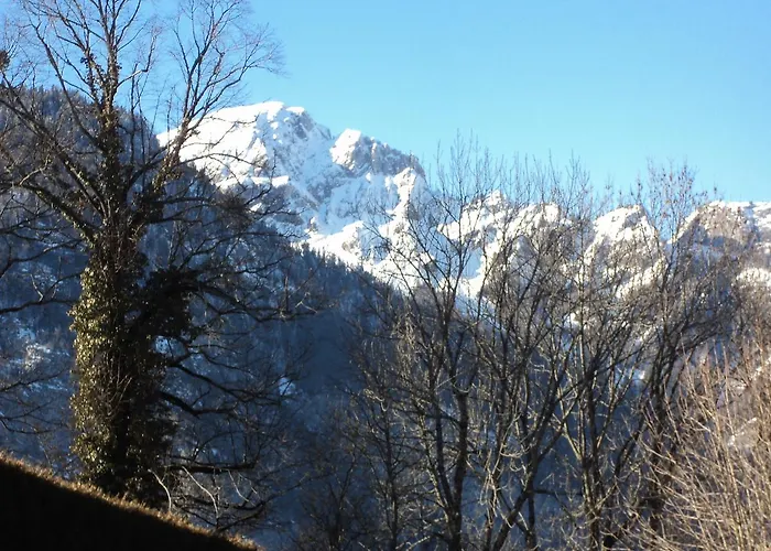 Les Tilleuls Le Biot
